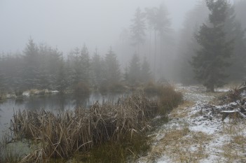 Vložil: Milada Dokulilová